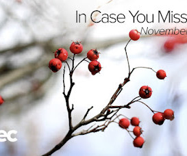 article thumbnail