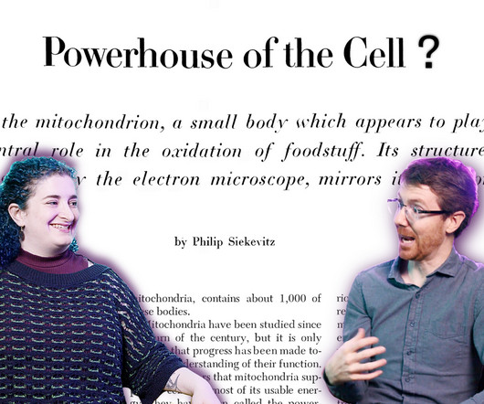 article thumbnail