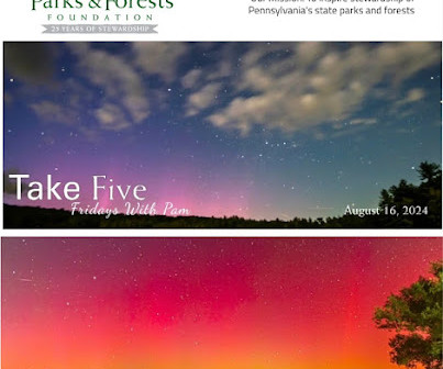 article thumbnail